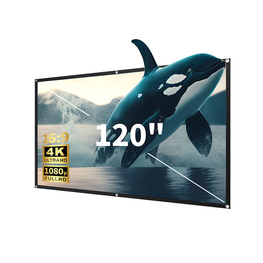 PS06 120" Projector Screen