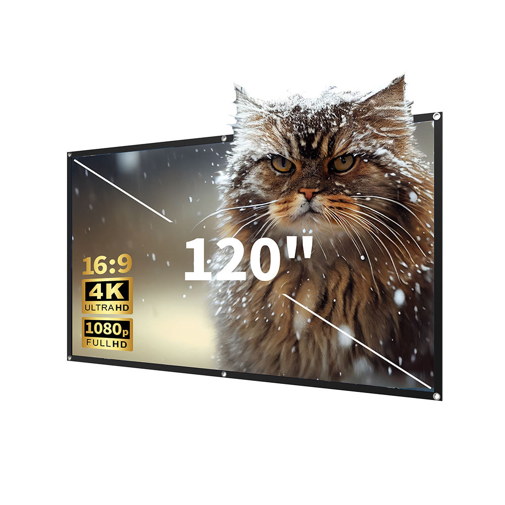 PS07 120" Projector Screen